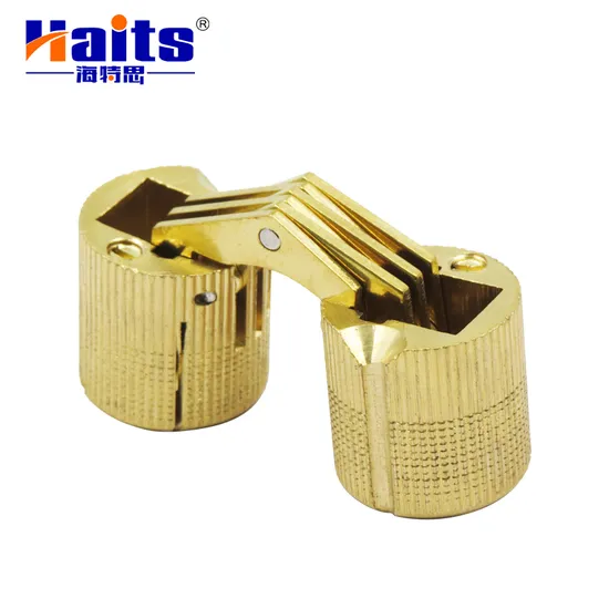 Kitchen Hardware Fittings Haits Copper Concealed Cabinet Door Primary Color Brass Hinge 