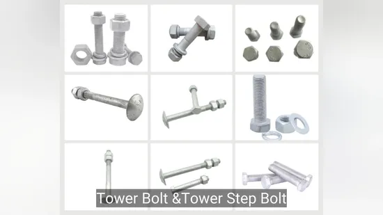ASTM A449 Telecom Electrical Transmission Tower Step Bolt with 2h Hex Nuts 